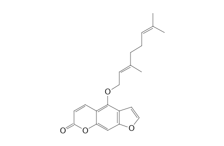 Bergamottin