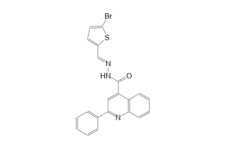 N'-[(E)-(5-bromo-2-thienyl)methylidene]-2-phenyl-4-quinolinecarbohydrazide