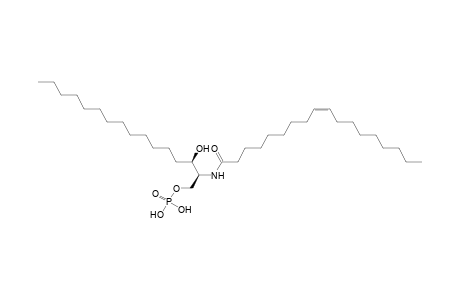 CerP 16:0;2O/18:1