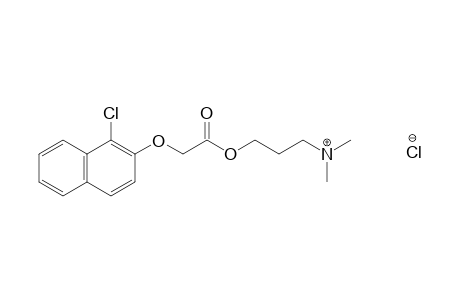[(1-chloro-2-naphthyl)oxy]acetic acid, 3-(dimethylamino)propyl ester, hydrochloride