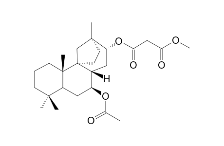 Methyl-thyrsiflorin-B-acetate