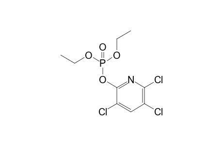 CHLORPYRIFOS, OXYGEN ANALOG