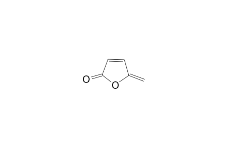 5-Methylene-2(5H)-furanone