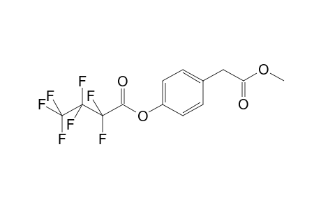 4-Hydroxyphenylacetic acid mehfb @P1272