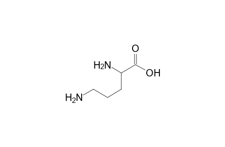 ORNITHINE;REACTED-WITH-HCHO