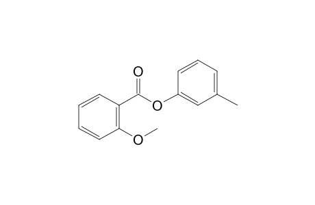 (3-methylphenyl) 2-methoxybenzoate