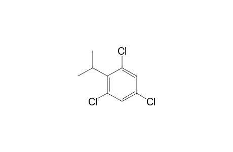 Benzene, 1,3,5-trichloro-2-(1-methylethyl)-