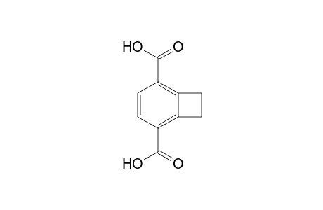 bicyclo[4.2.0]octa-1,3,5-triene-2,5-dicarboxylic acid