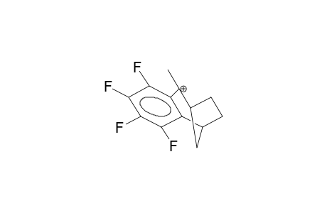 2-METHYL-3,4-TETRAFLUOROBENZOBICYCLO[3.2.1]OCTEN-2-YL CATION