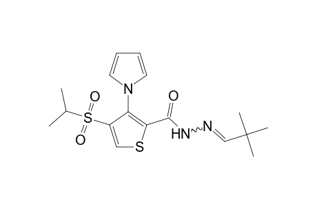 4-(Isopropylsulfonyl)-3-(pyrrol-1-yl)-2-thiophenecarboxylic acid, (2,2-dimethylpropylidene)hydrazide