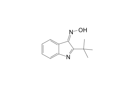 2-(t-Butyl)-3H-indole-3-oxime