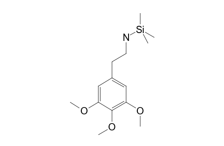 Mescaline TMS