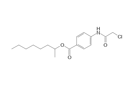 p-(2-chloroacetamido)benzoic acid, 1-methylheptyl ester