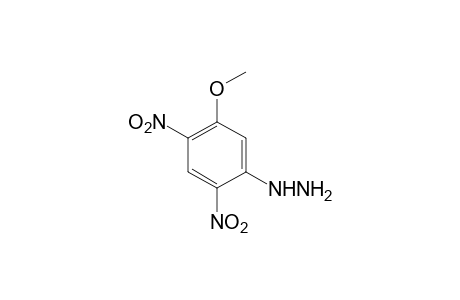 2,4-dinitro-5-methoxyphenylhydrazine