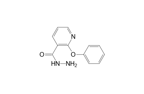 2-Phenoxynicotinic acid hydrazide