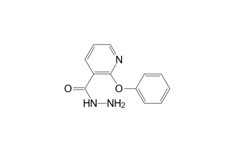 2-Phenoxynicotinic acid hydrazide