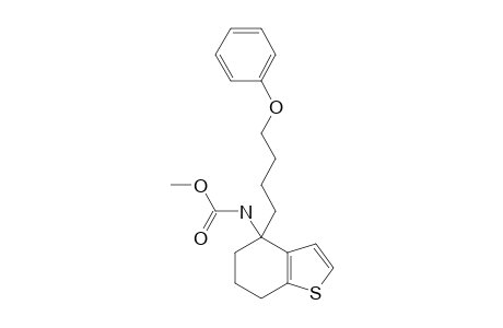 -[4,5,6,7-TETRAHYDRO-4-(4-PHENOXYBUT-1-YL)-4-BENZO-[B]-THIENYL]-CARBAMINSAEUREMETHYLESTER