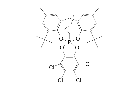 [CH(2)-(6-T-BU-4-ME-C6H2O)(2)]-P(N-BU)-(1,2-O2C6CL4);MAJOR-ISOMER