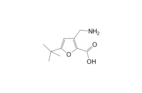 3-(aminomethyl)-5-tert-butyl-2-furoic acid