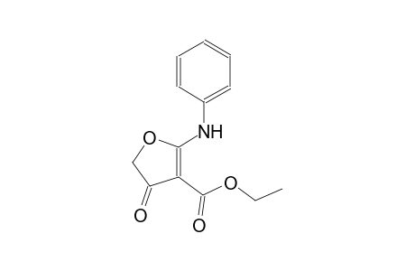 5-Phenylamino-2,3-didehydro-3(2H)-furanone-4-carboxylic acid, ethyl ester