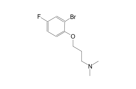 N-[3-(2-bromo-4-fluorophenoxy)propyl]-N,N-dimethylamine