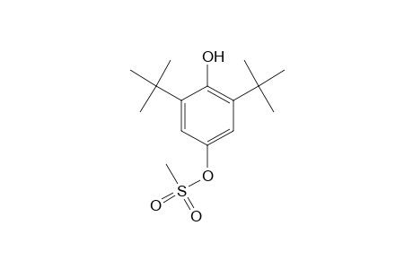 2,6-di-tert-butylhydroquinone, 4-methanesulfonate