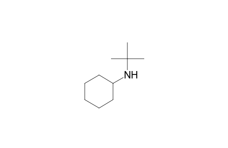 N-tert-butylcyclohexylamine