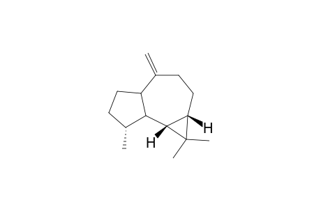 Aromadendrene