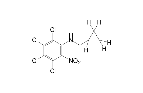 N-(cyclopropylmethyl)-2-nitro-3,4,5,6-tetrachloroaniline