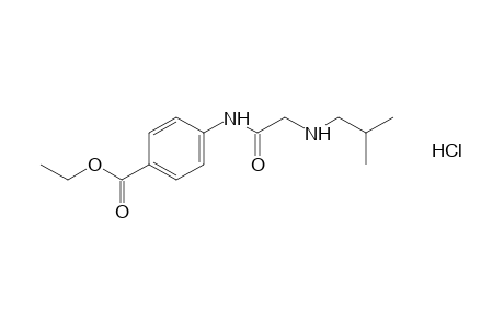 p-[(2-isobutylamino)acetamido]benzoic acid, ethyl ester, hydrochloride