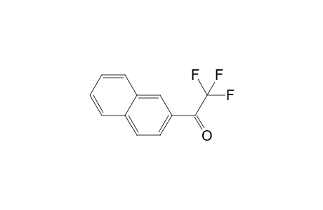 2,2,2-Trifluoro-1-(naphthalen-2-yl)ethan-1-one