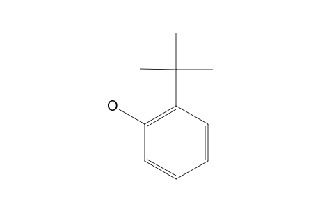 o-Tert-butylphenol