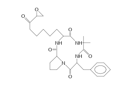 Chlamydocin