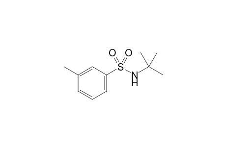 N-(tert-Butyl)-3-methylbenzenesulfonamide