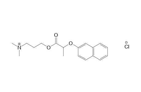2-[(2-naphthyl)oxy]propionic acid, 3-(dimethylamino)propyl ester, hydrochloride