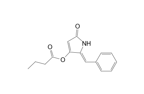 Butyric Acid 2(Z)-Benzylidene-2,5-dihydro-5-oxo-1H-pyrrol-3-yl Ester