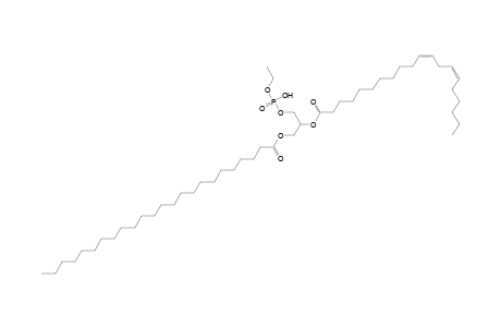 PEtOH 24:0_20:2