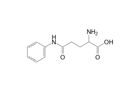 2-AMINOGLUTARANILIC ACID