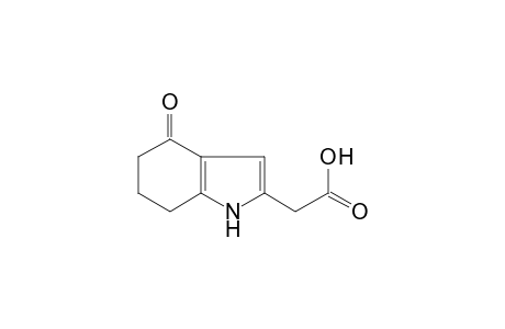 4-oxo-4,5,6,7-tetrahydroindole-2-acetic acid