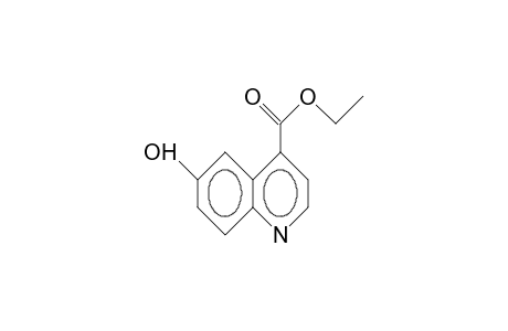 6-Hydroxy-cinchoninic acid, ethyl ester