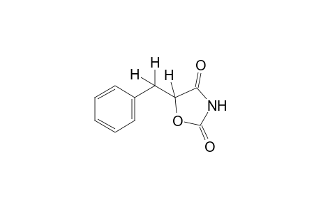 5-benzyl-2,4-oxazolidinedione