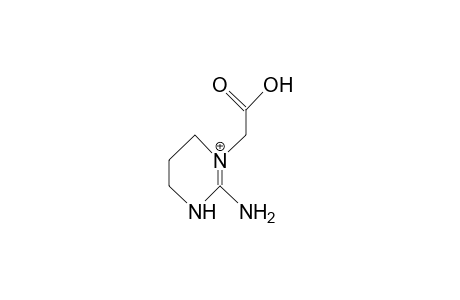 1-Carboxymethyl-2-amino-tetrahydro-pyrimidine cation