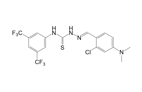 1-[2-CHLORO-4-(DIMETHYLAMINO)BENZYLIDENE]-4-(alpha,alpha,alpha,alpha',alpha',alpha'-HEXAFLUORO-3,5-XYLYL)-3-THIOSEMICARBAZIDE