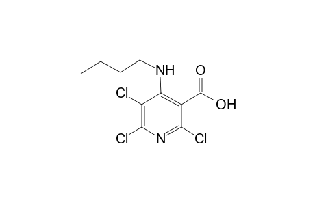 4-(butylamino)-2,5,6-trichloro-3-pyridinecarboxylic acid