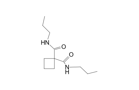 N,N'-dipropyl-1,1-cyclobutanedicarboxamide
