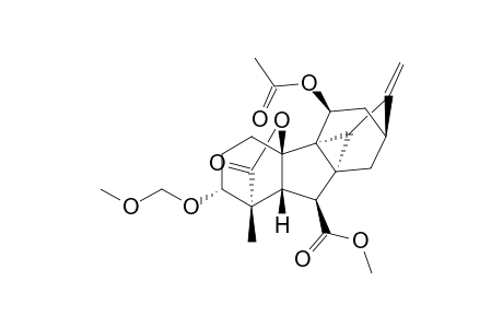 ent-11.beta.-Acetoxy-10.beta.-hydroxy-3.alpha.-methoxymethoxy-20-nor-9.alpha.,15.alpha.-cyclogibberell-16-ene-7,19-dioic acid 7-methyl ester 19,10-lactone