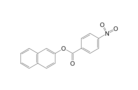 p-nitrobenzoic acid, 2-naphthyl ester