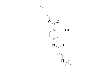 p-[(3-tert-butylamino)propionamido]benzoic acid, butyl ester, hydrochloride