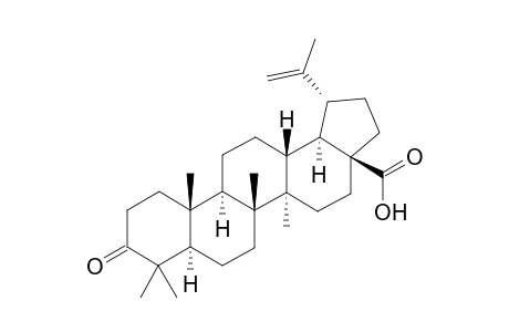 3-oxolup-20(29)-en-28-oic acid