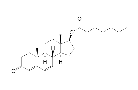 .delta.6-Testosterone Enanthate